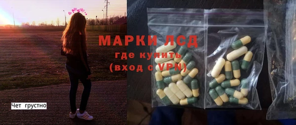 индика Балахна