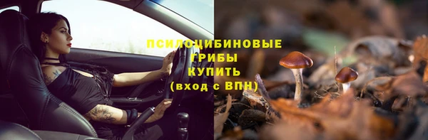 индика Балахна