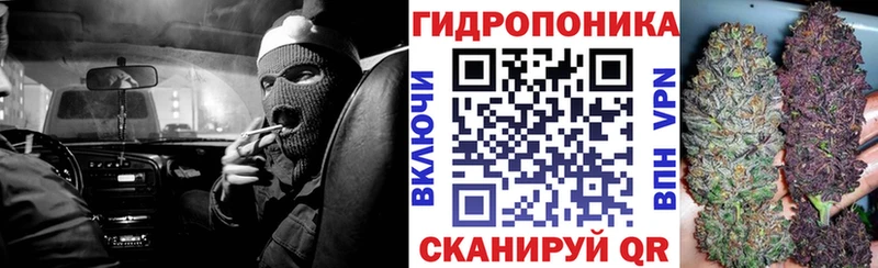 даркнет официальный сайт Междуреченск Бошки марихуана сатива наркота
